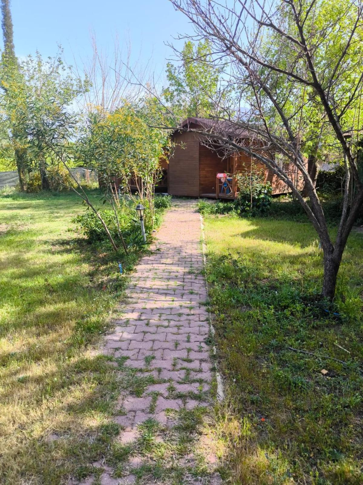 çirali Natural Lıfe *